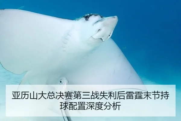 亚历山大总决赛第三战失利后雷霆末节持球配置深度分析
